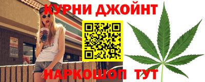 молекула духа Кингисепп