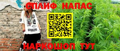 молекула духа Кингисепп