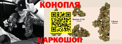 молекула духа Кингисепп