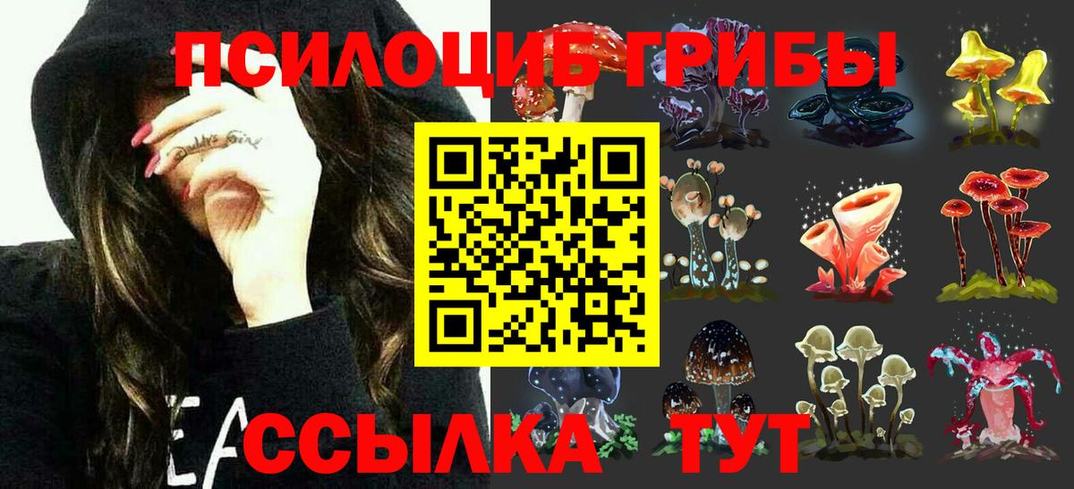 Киров  Псилоцибиновые грибы Cubensis  Вход с VPN 
