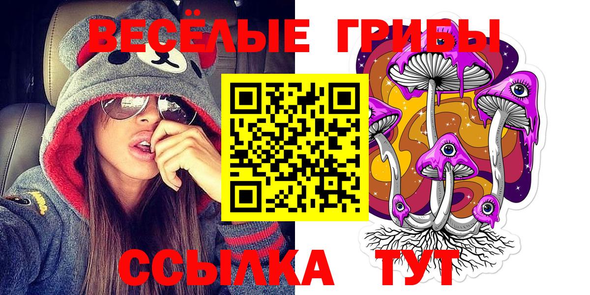 Псилоцибиновые грибы мицелий Киров